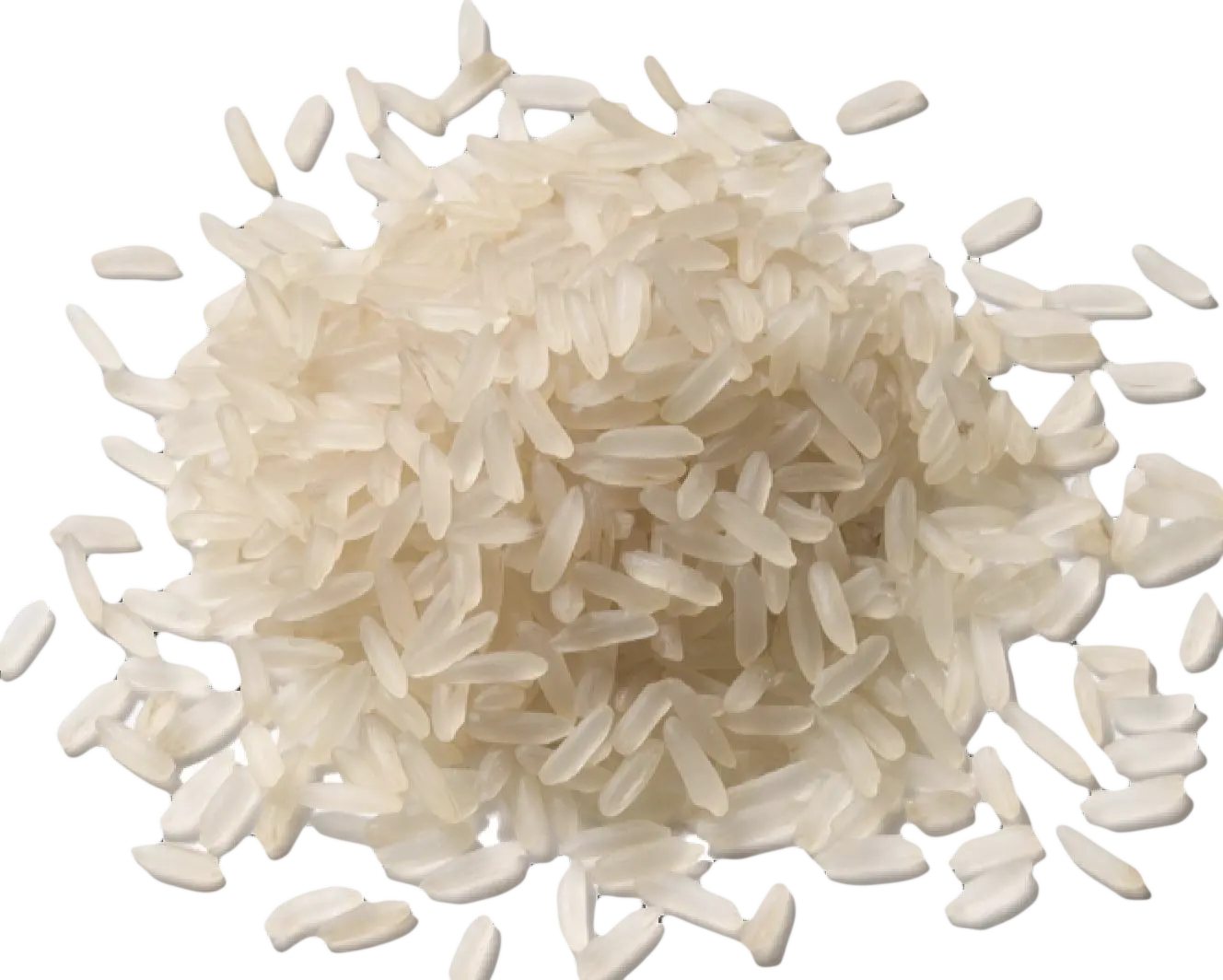 Rice protein