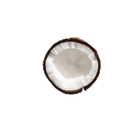 MCT oil powder