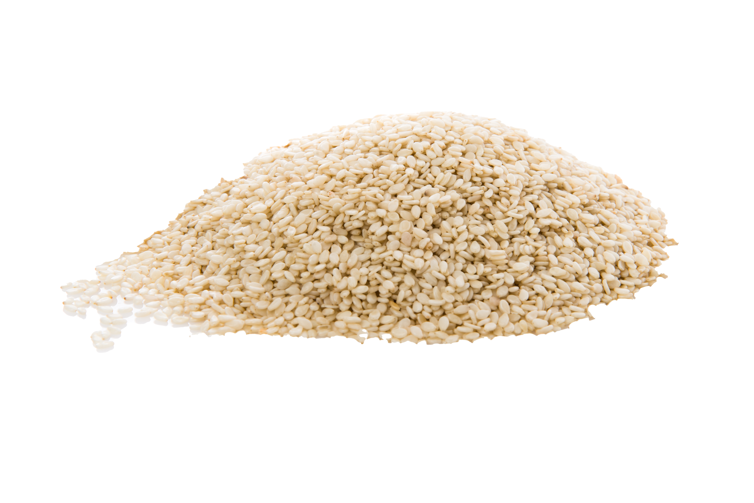 Rice protein