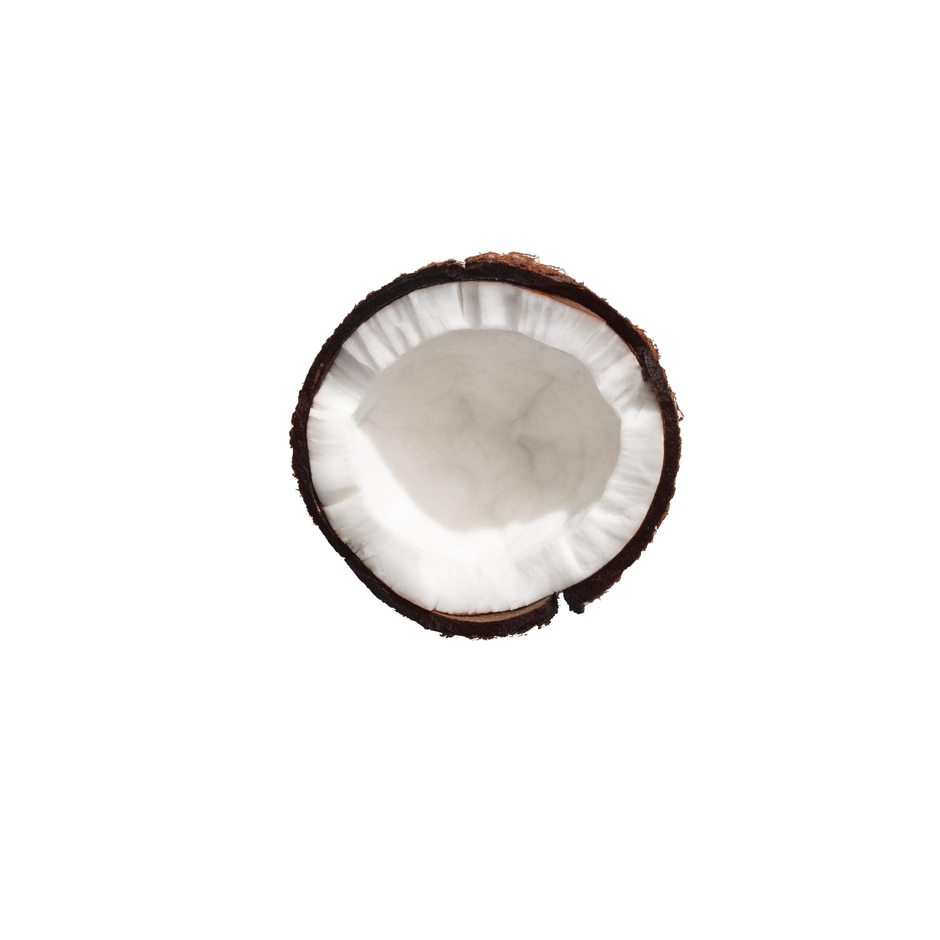 MCT oil