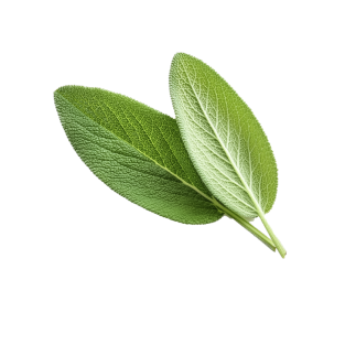 Sage extract